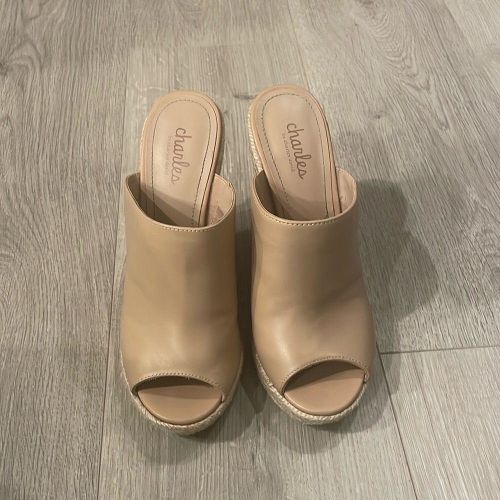 Charles David Wedges